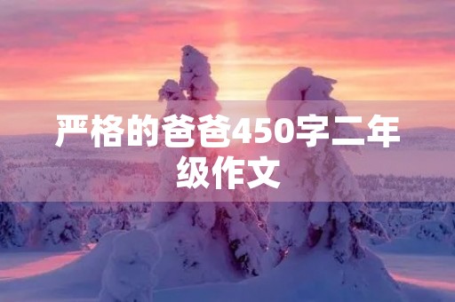 严格的爸爸450字二年级作文 严格的爸爸450字二年级作文