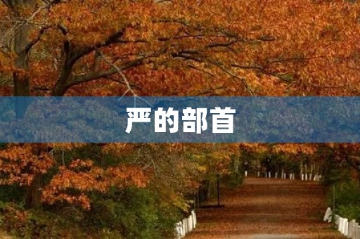 严的部首(严的部首)