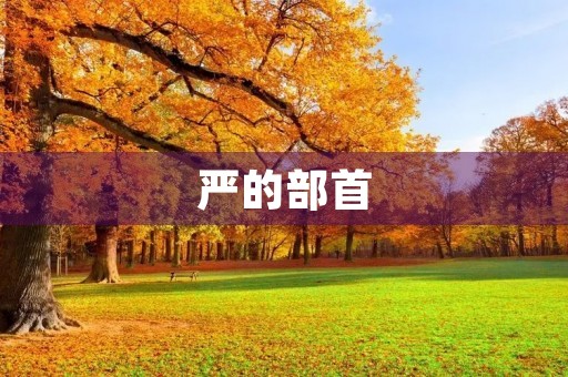 严的部首(严组词) 严的部首(严组词)