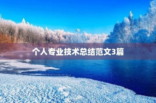 个人专业技术总结范文3篇