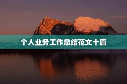 个人业务工作总结范文十篇