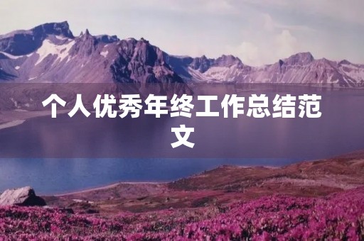 个人优秀年终工作总结范文