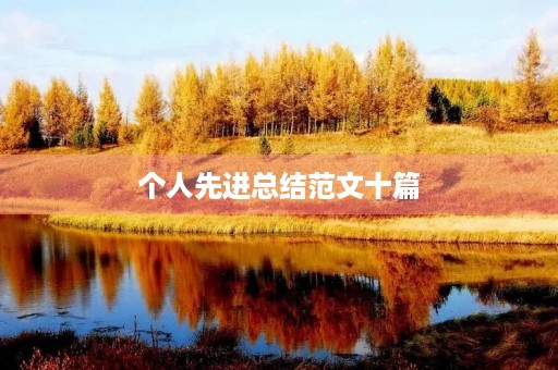 个人先进总结范文十篇