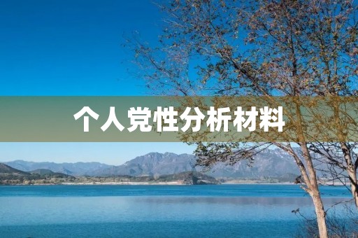 个人党性分析材料(个人党性分析报告2023)