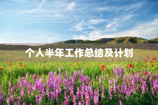 个人半年工作总结及计划