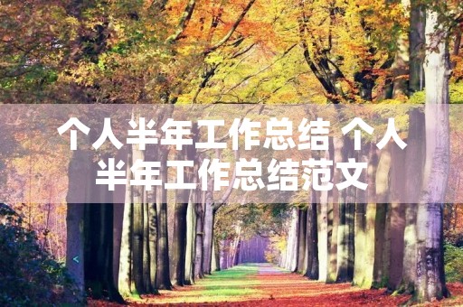 个人半年工作总结 个人半年工作总结范文 个人半年工作总结 个人半年工作总结范文
