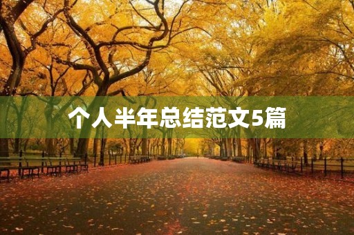 个人半年总结范文5篇