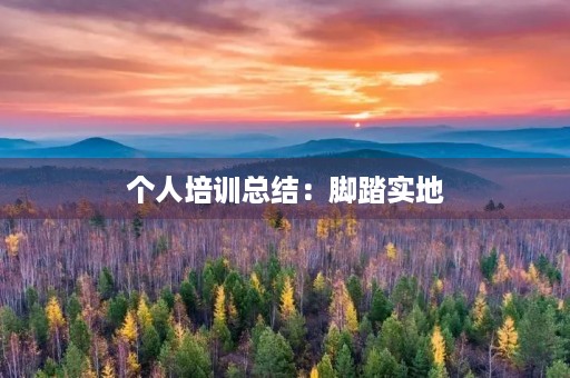 个人培训总结：脚踏实地，追求卓越