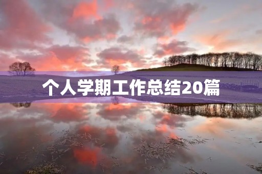 个人学期工作总结20篇