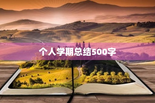 个人学期总结500字 个人学期总结500字