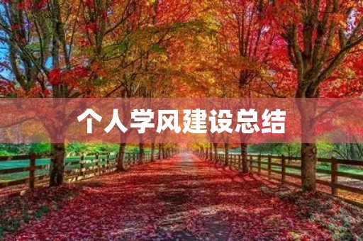 个人学风建设总结