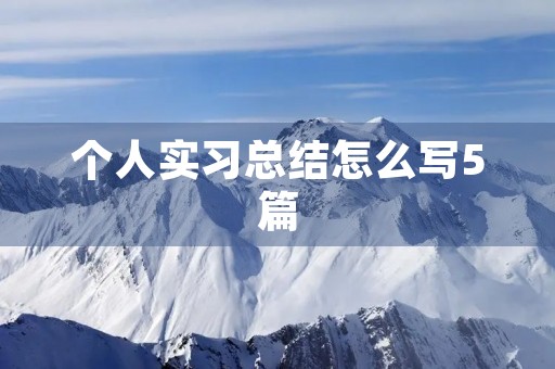 个人实习总结怎么写5篇