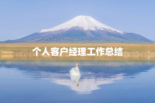 个人客户经理工作总结