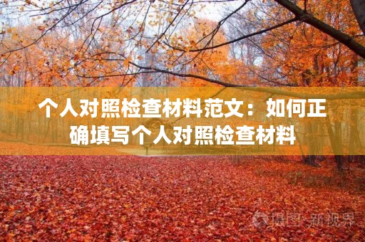 个人对照检查材料范文：如何正确填写个人对照检查材料