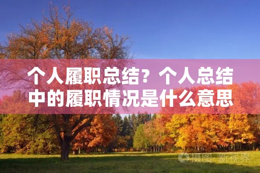 个人履职总结？个人总结中的履职情况是什么意思