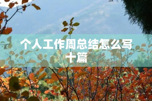 个人工作周总结怎么写十篇