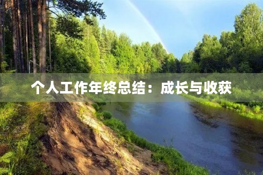 个人工作年终总结:成长与收获