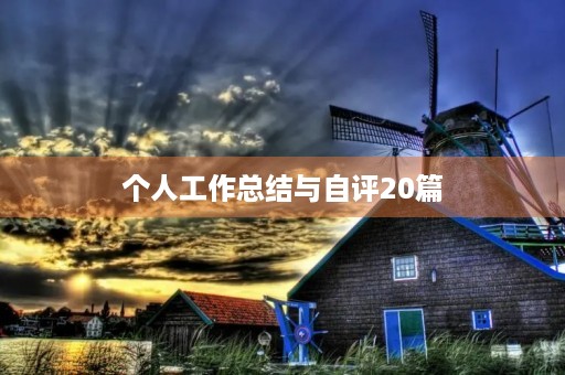 个人工作总结与自评20篇