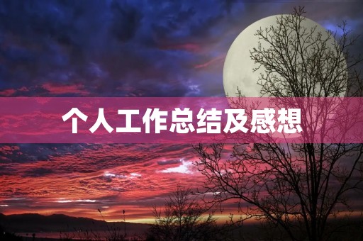个人工作总结及感想 个人工作总结及感想