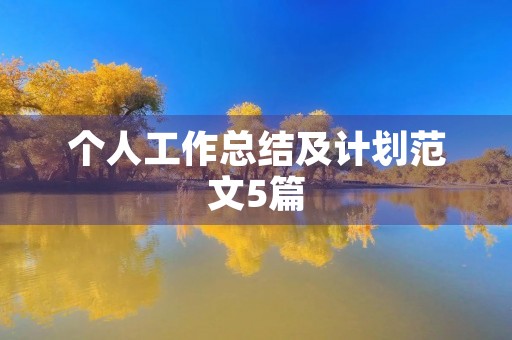 个人工作总结及计划范文5篇