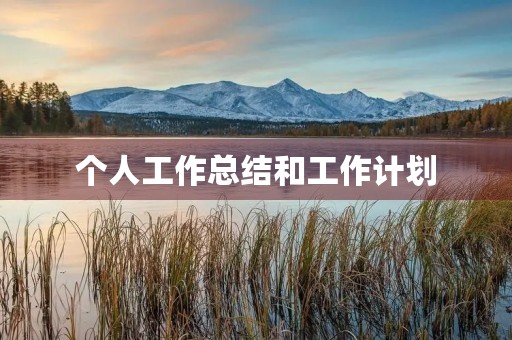 个人工作总结和工作计划