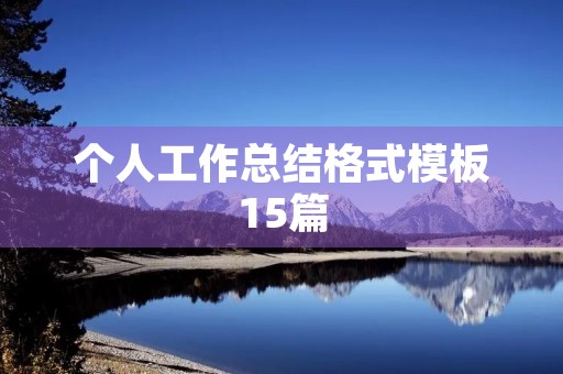 个人工作总结格式模板15篇