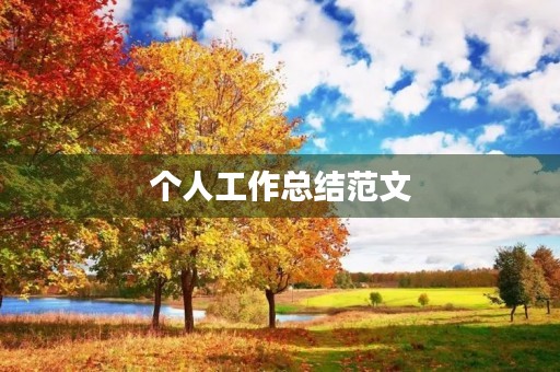 个人工作总结范文