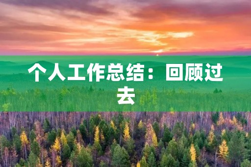 个人工作总结：回顾过去，展望未来