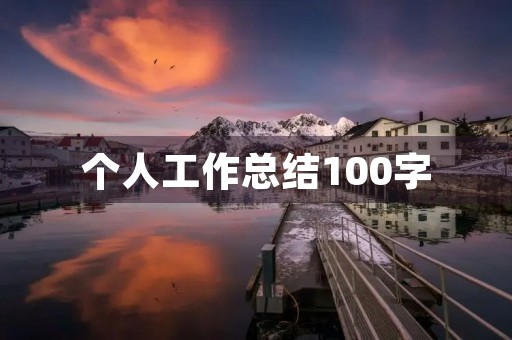 个人工作总结100字