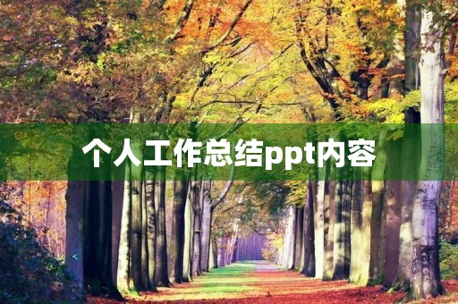 个人工作总结ppt内容