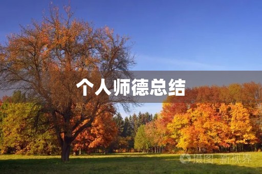 个人师德总结 个人师德总结