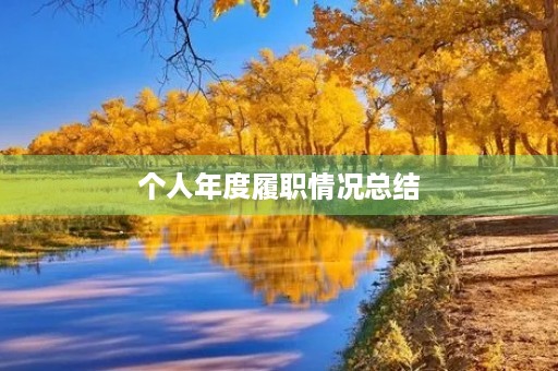 个人年度履职情况总结 个人年度履职情况总结