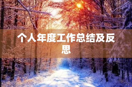 个人年度工作总结及反思