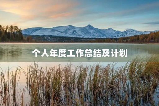 个人年度工作总结及计划