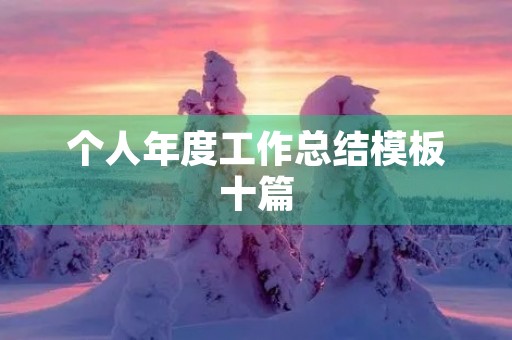 个人年度工作总结模板十篇