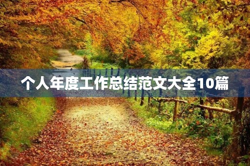 个人年度工作总结范文大全10篇