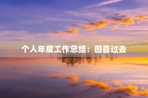 个人年度工作总结:回首过去,放眼未来