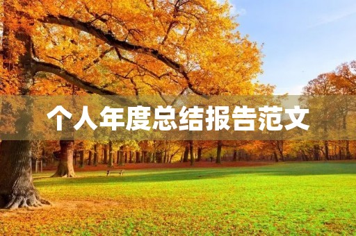 个人年度总结报告范文