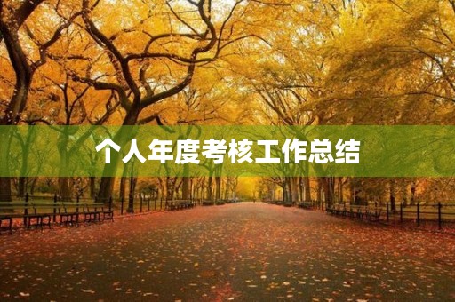 个人年度考核工作总结