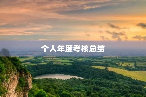 个人年度考核总结 个人年度考核总结