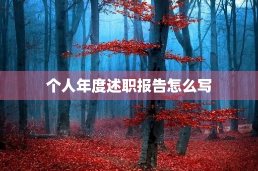 个人年度述职报告怎么写