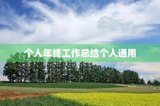 个人年终工作总结个人通用 个人年终工作总结个人通用