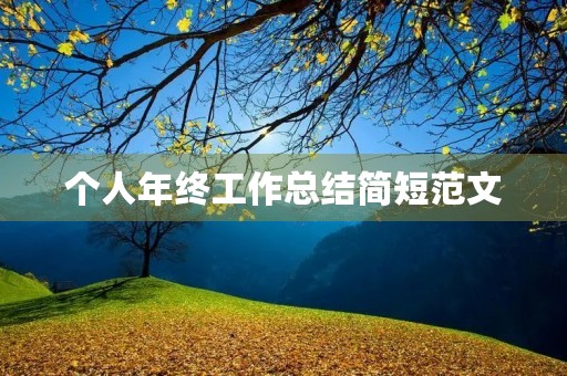 个人年终工作总结简短范文
