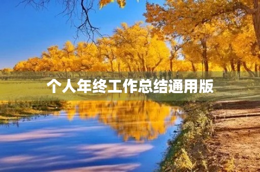 个人年终工作总结通用版