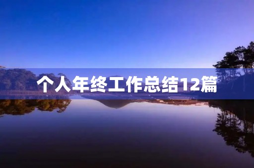 个人年终工作总结12篇