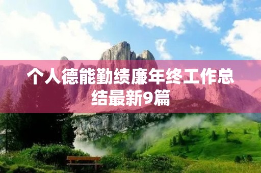 个人德能勤绩廉年终工作总结最新9篇