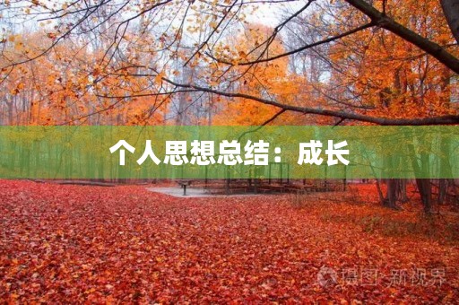 个人思想总结:成长,自我,责任 个人思想总结:成长,自我,责任