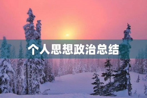 个人思想政治总结 个人思想政治总结