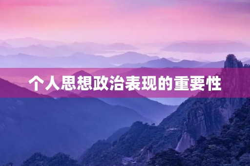 个人思想政治表现的重要性