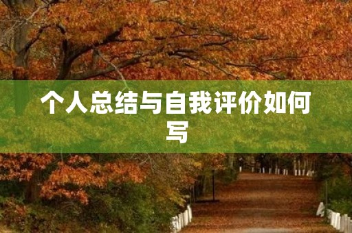 个人总结与自我评价如何写 个人总结与自我评价如何写